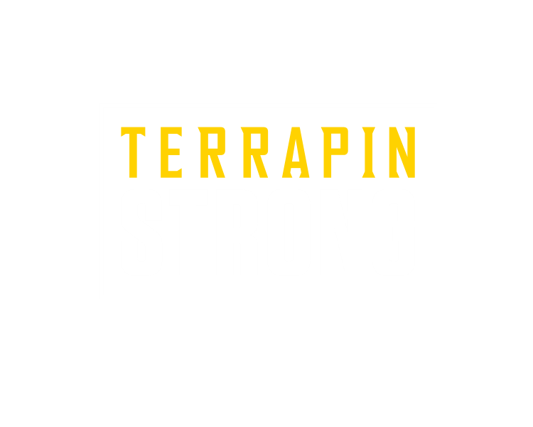 terrapinstrong logo